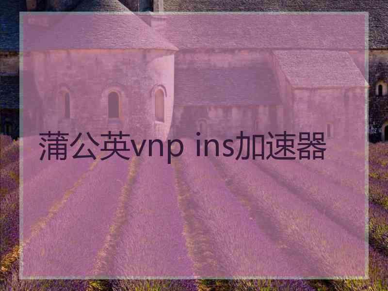 蒲公英vnp ins加速器