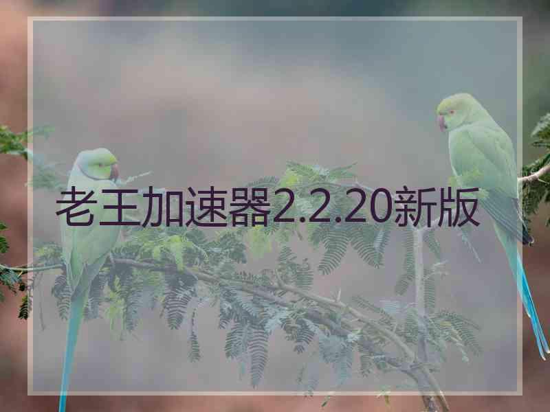 老王加速器2.2.20新版