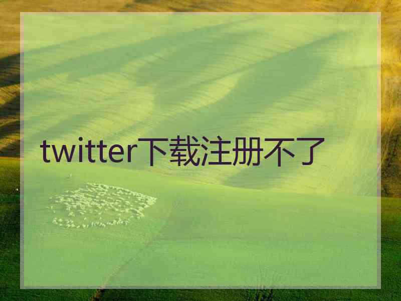 twitter下载注册不了