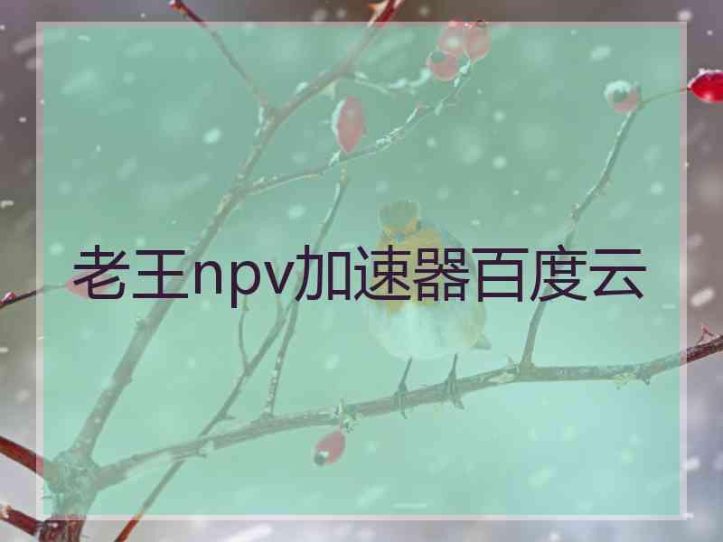 老王npv加速器百度云