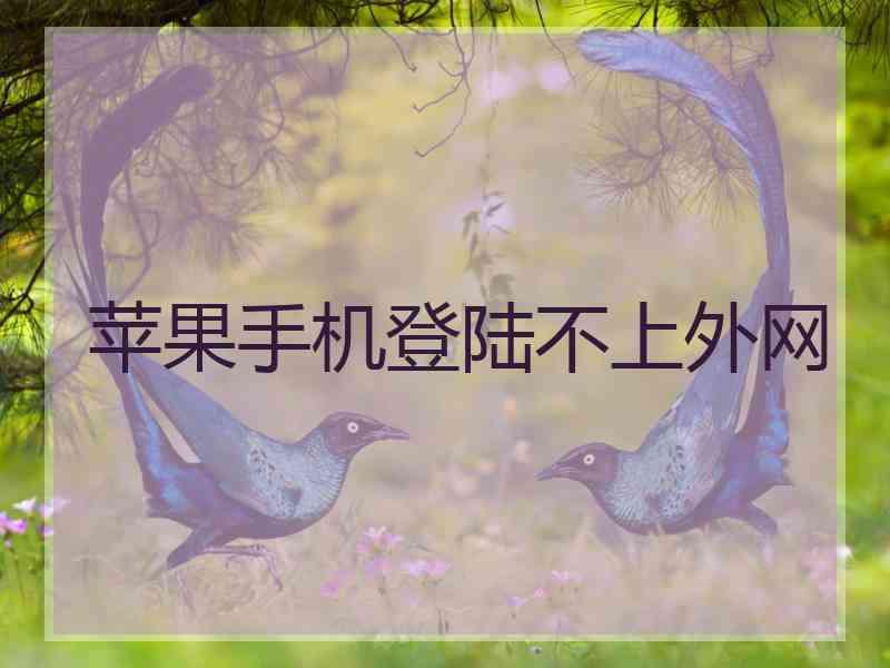 苹果手机登陆不上外网