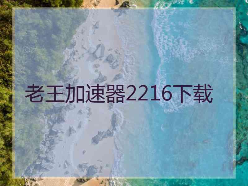 老王加速器2216下载