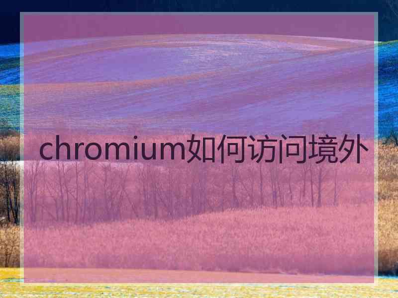 chromium如何访问境外