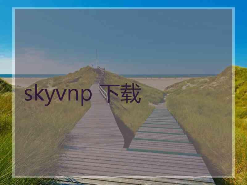 skyvnp 下载